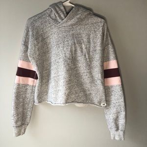 NWOT Abercrombie & Fitch Cropped Sweatershirt